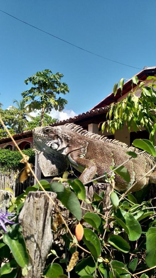 Pousada Eolos Barra Grande  Buitenkant foto